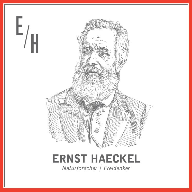 llustration von Ernst Haeckel, © Klassik Stiftung Weimar