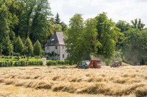 Heumahd vor Goethes Gartenhaus