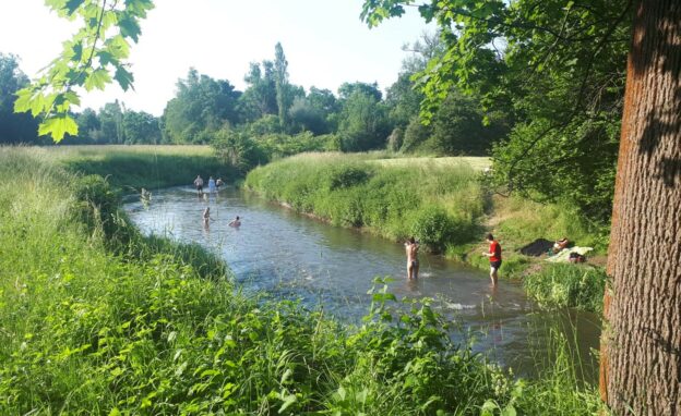 Baden trägt zur Erosion des Ilmufers bei und schadet zudem der Vegetation am Ufer. Zum Baden gibt es heute Freibäder. Foto: N. Richter