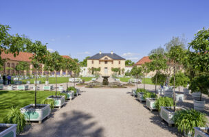 Seit Mitte des 18. Jahrhunderts sind exotische Pflanzen und das Wissen zu ihrer Kultivierung im Schlosspark Belvedere in Weimar heimisch. Foto: Klassik Stiftung Weimar
