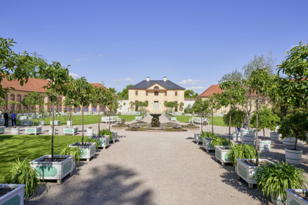 Seit Mitte des 18. Jahrhunderts sind exotische Pflanzen und das Wissen zu ihrer Kultivierung im Schlosspark Belvedere in Weimar heimisch. Foto: Klassik Stiftung Weimar
